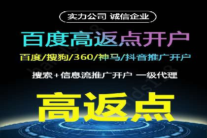 搜索引擎营销（SEM）成功案例详解